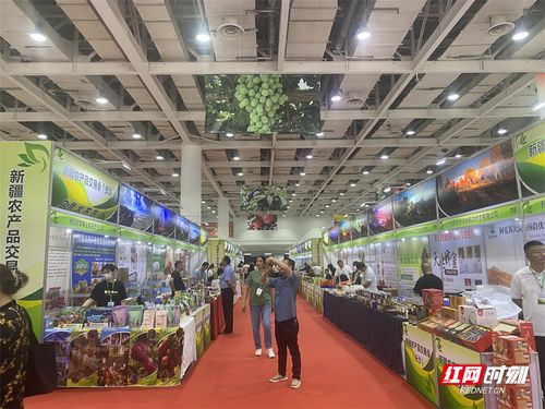 新疆農(nóng)產(chǎn)品長沙交易會盛大開幕，超300種初級產(chǎn)品等你來品鑒