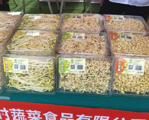 我市多項民生與經(jīng)濟動態(tài)更新 養(yǎng)老金上調(diào)、道路施工與科技對接活動齊推進