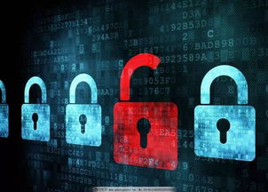 數(shù)智融合新生態(tài) 網(wǎng)絡(luò)安全筑基，智慧養(yǎng)老拓界，產(chǎn)業(yè)集聚賦能